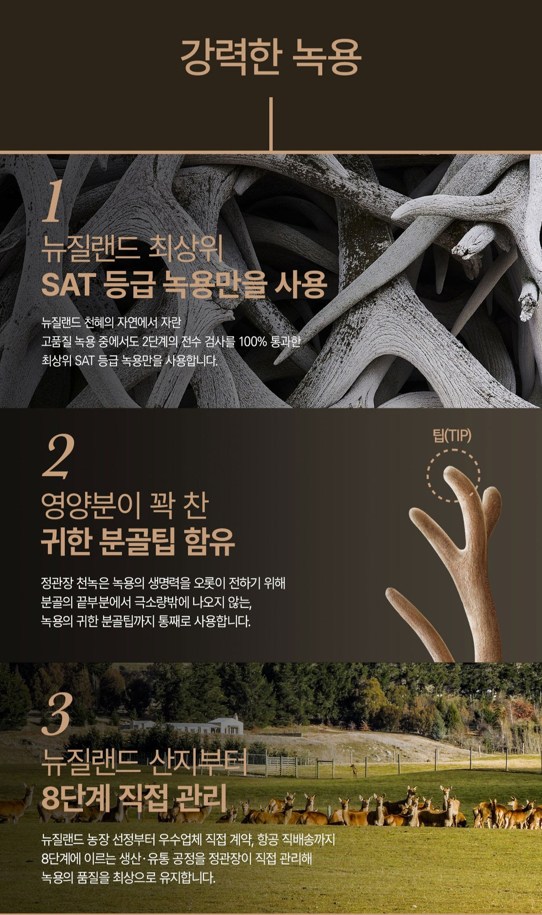 Hồng Sâm KGC Jung Kwan Jang Cheon Nok Jeong Pyeon #30 Packets