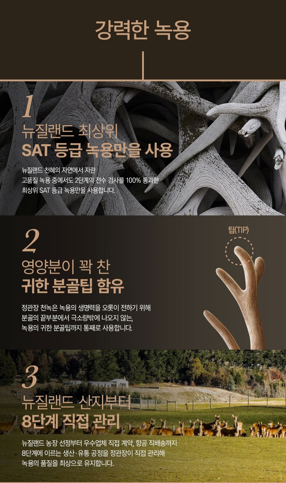 Hồng Sâm KGC Jung Kwan Jang Cheon Nok Jeong Pyeon #30 Packets