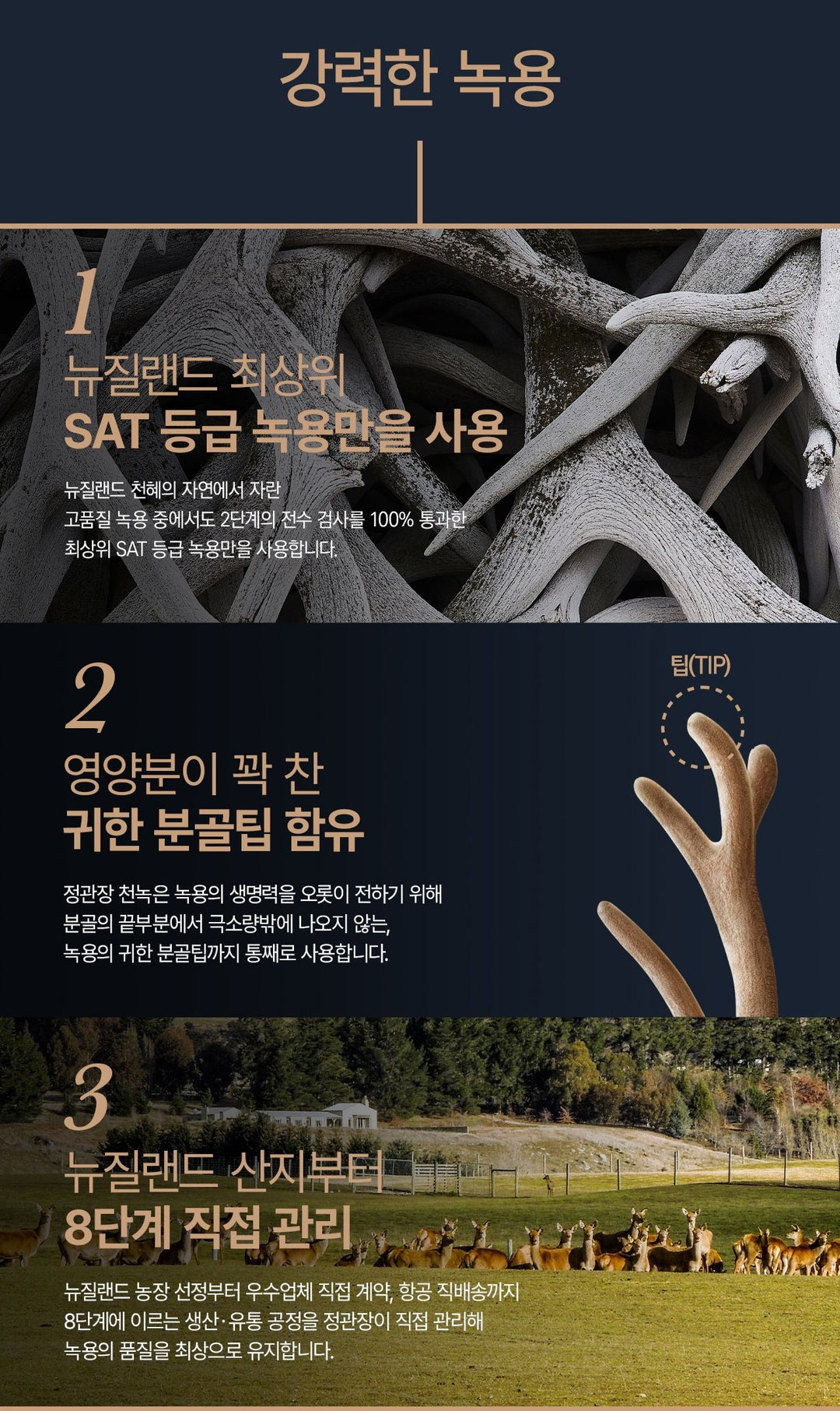 Hồng Sâm KGC Jung Kwan Jang Cheon Nok Senior #15 Days