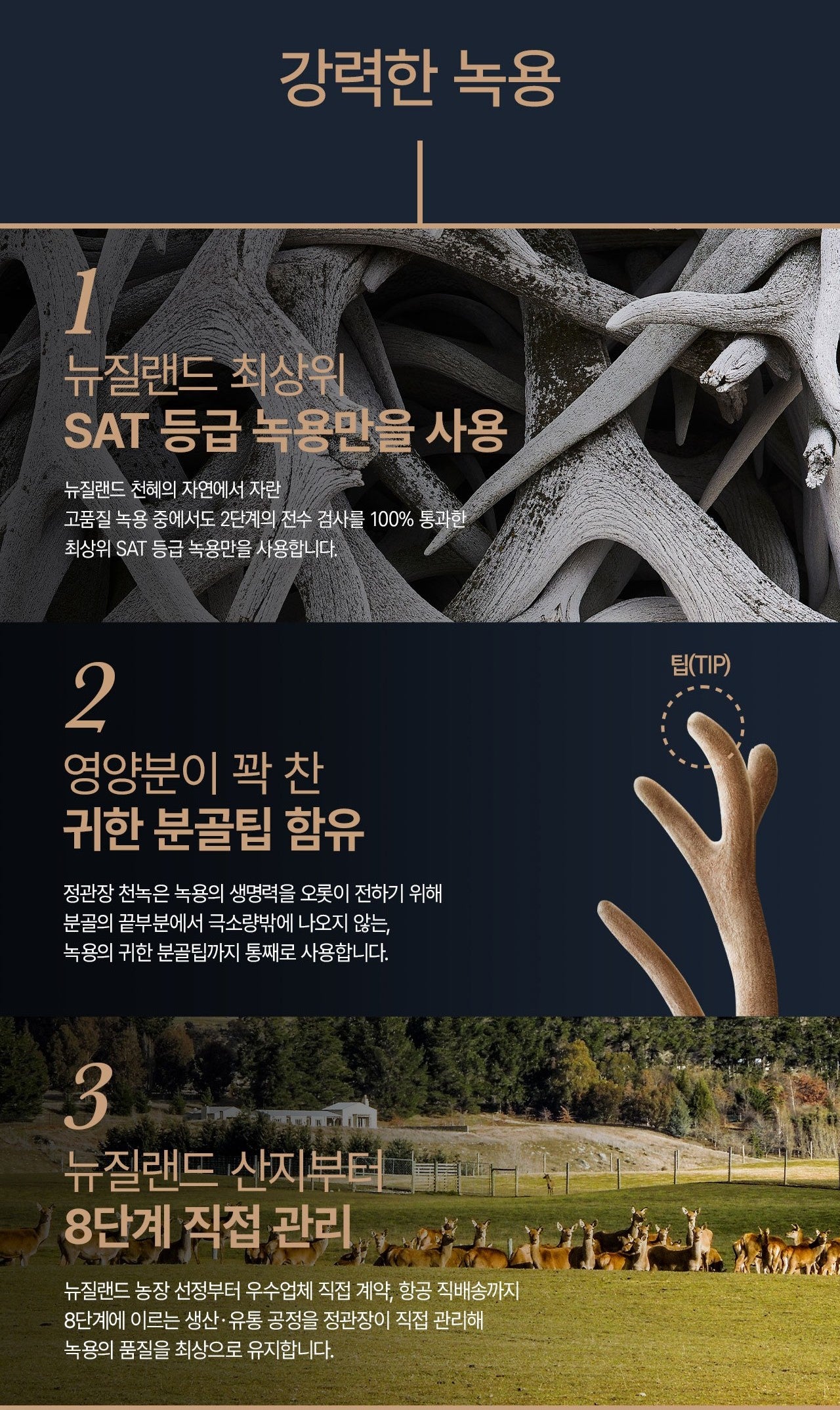 Hồng Sâm KGC Jung Kwan Jang Cheon Nok Senior #15 Days-Kallos