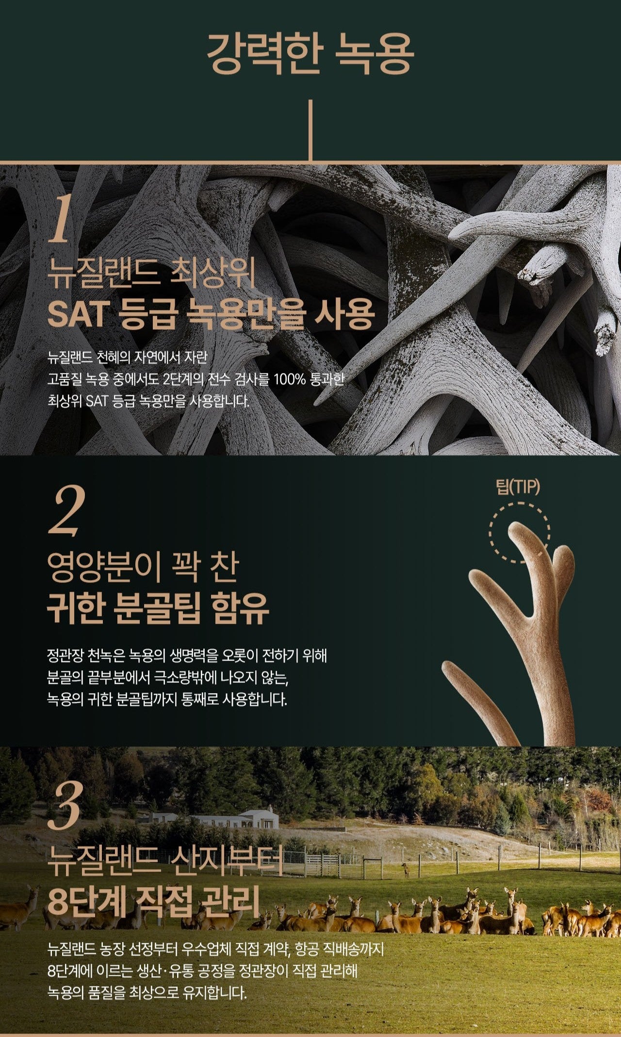 Hồng Sâm KGC Jung Kwan Jang Cheon Nok Tonic #30 Pouches-Kallos