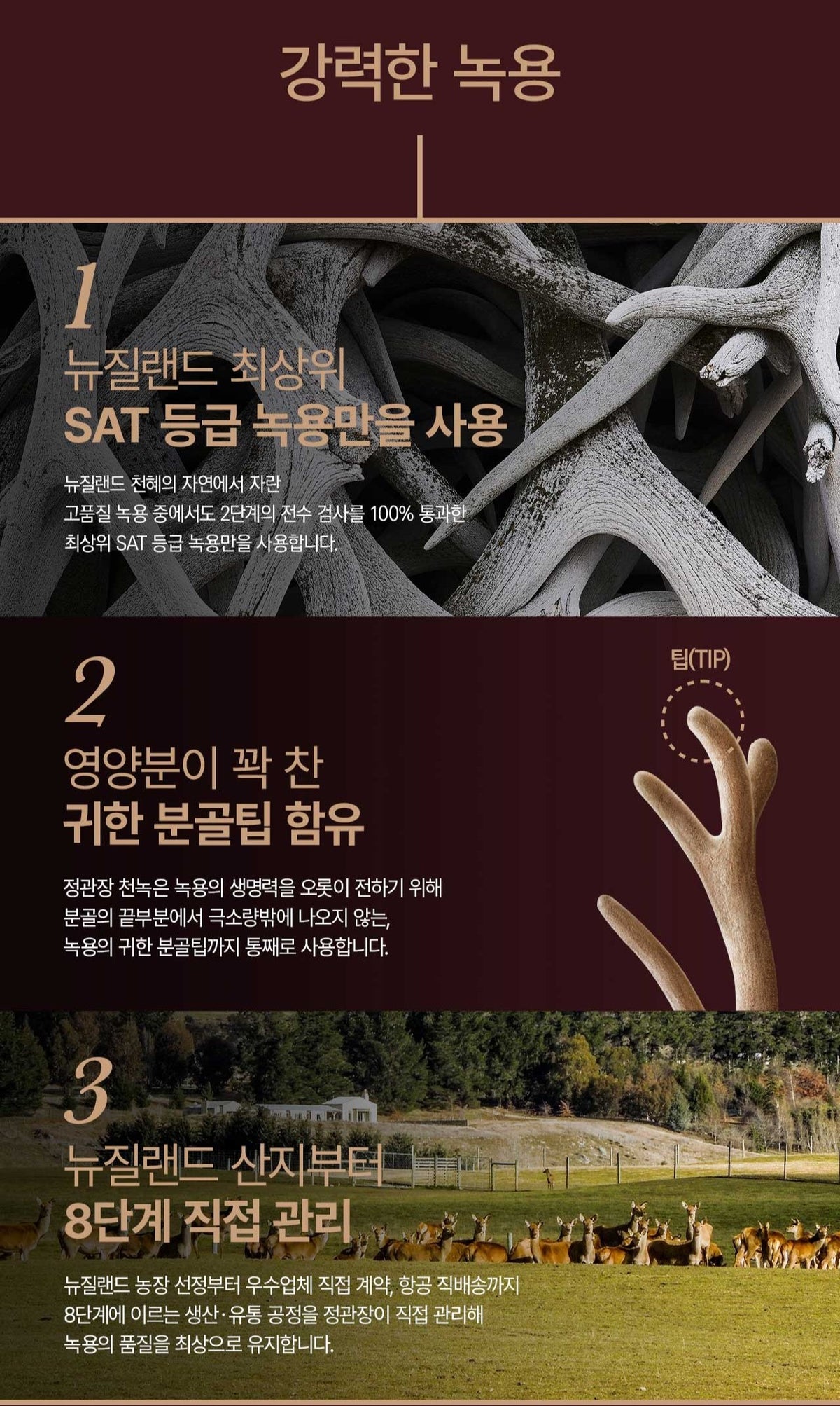 Hồng Sâm KGC Jung Kwan Jang Cheon Nok Woman #30 Days (Hanji Packaging)