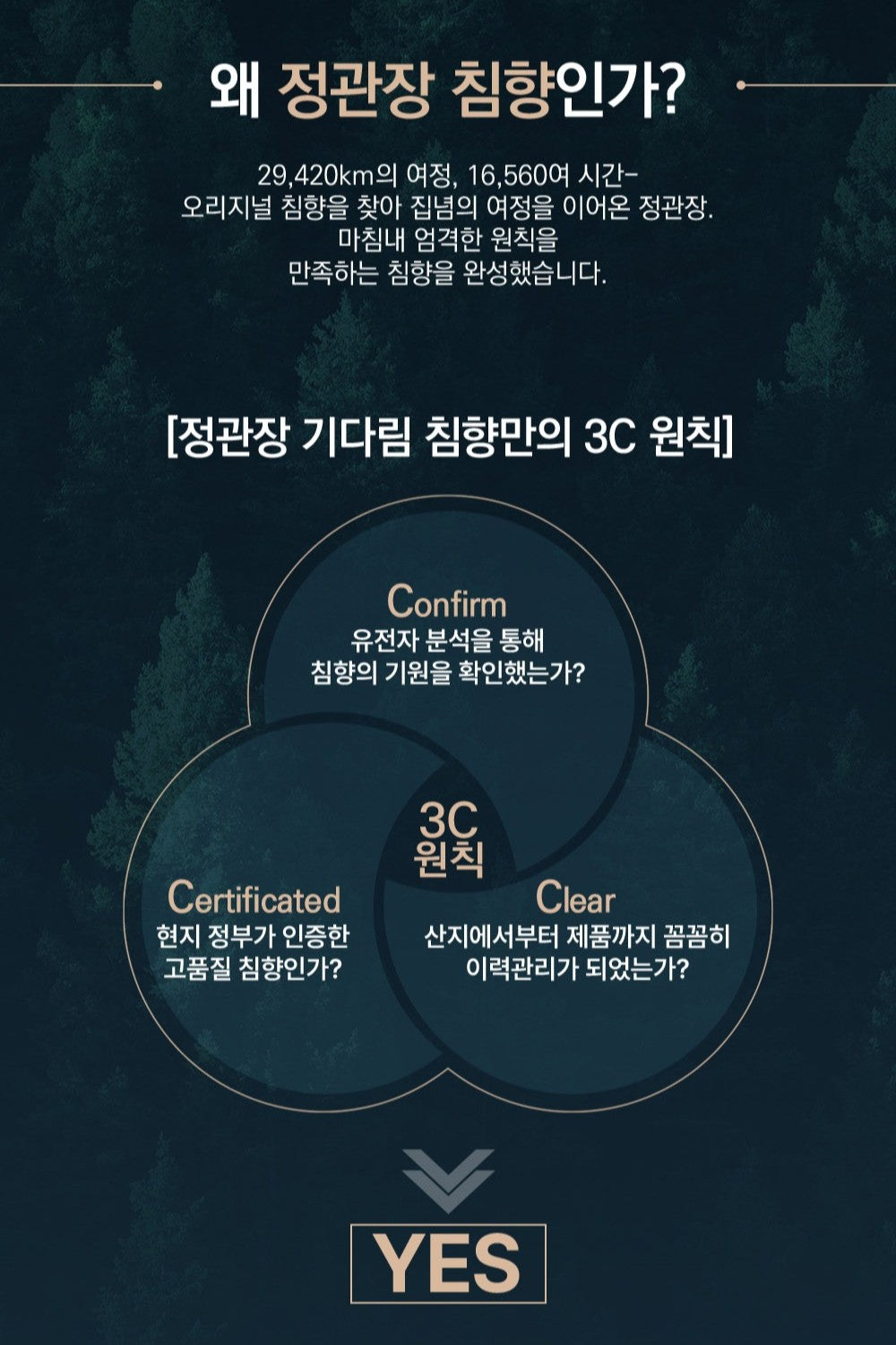 Hồng Sâm KGC Jung Kwan Jang Gi: Darim Chimhyang Set-Kallos