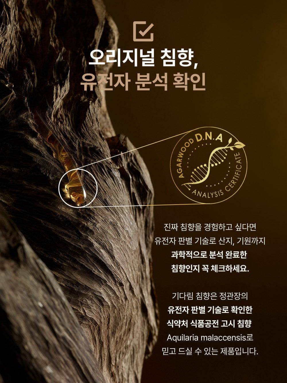 Hồng Sâm KGC Jung Kwan Jang Gi: Darim Chimhyang Set-Kallos