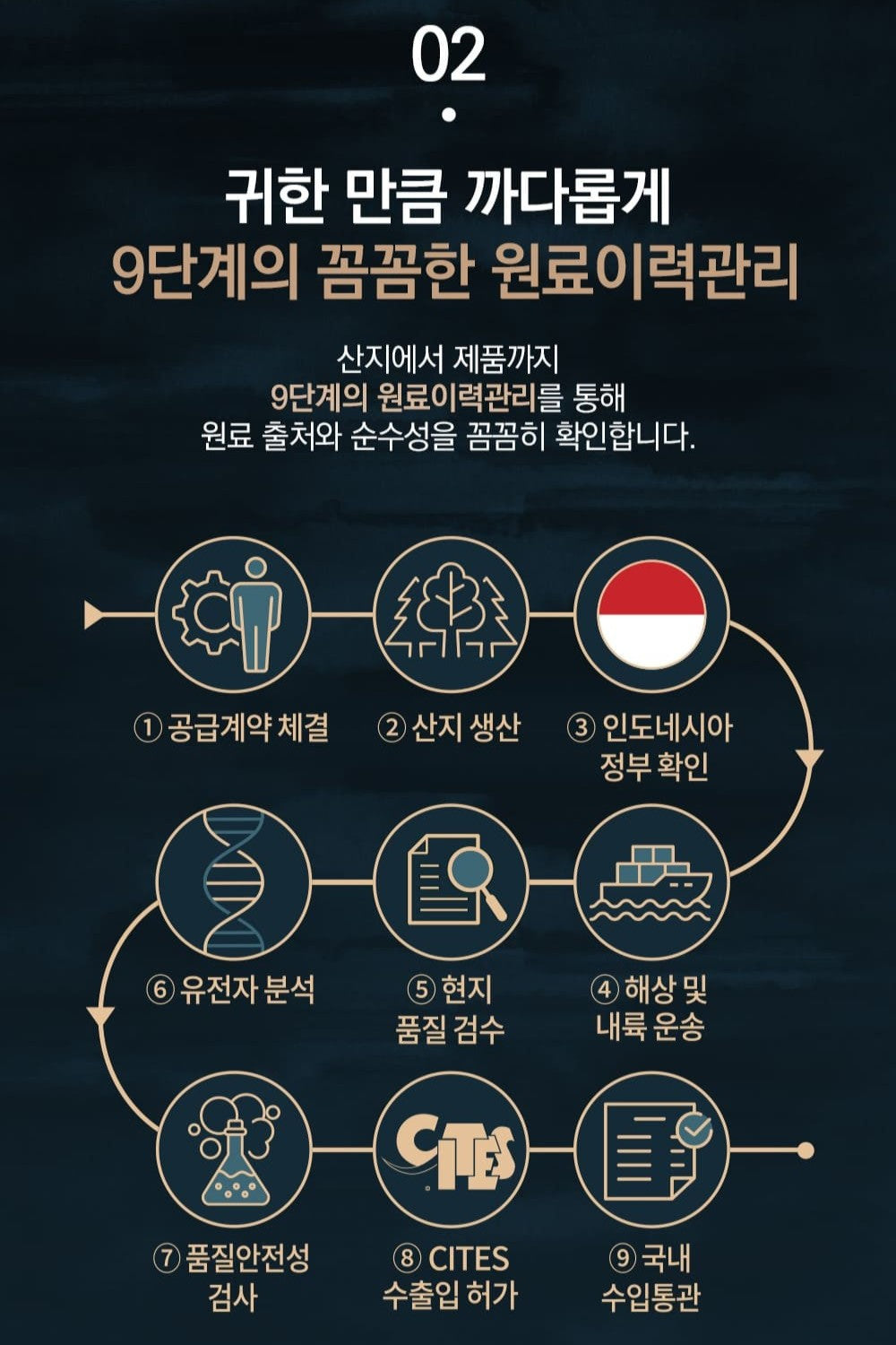 Hồng Sâm KGC Jung Kwan Jang Gi: Darim Chimhyang Set-Kallos
