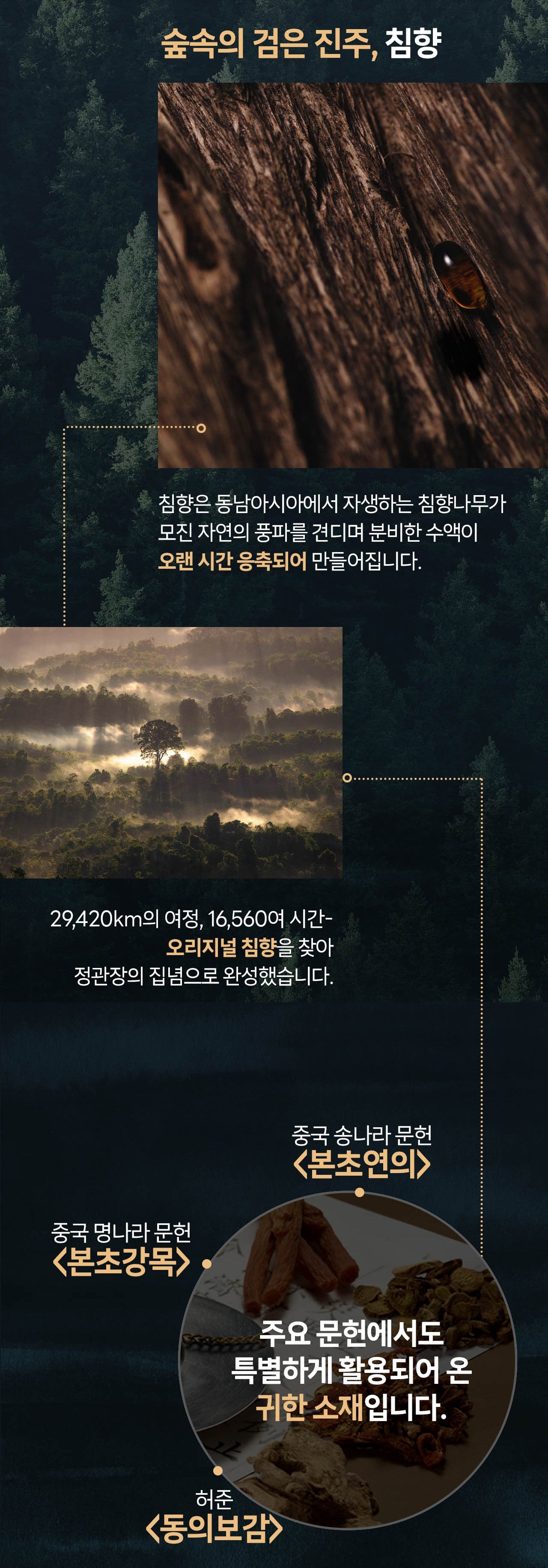 Hồng Sâm KGC Jung Kwan Jang Gidarim Agarwood Pill #30 Pills - Kallos Vietnam
