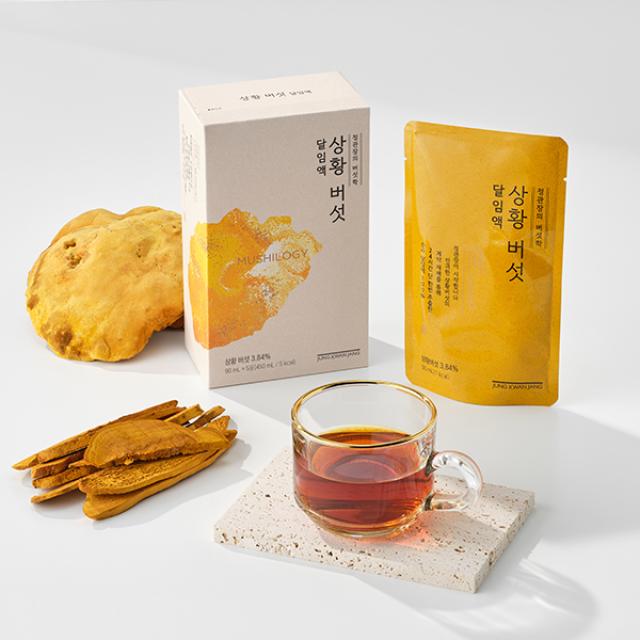 Nấm KGC Jung Kwan Jang Sanghuang Mushroom Tonic #30 Pouches-Kallos
