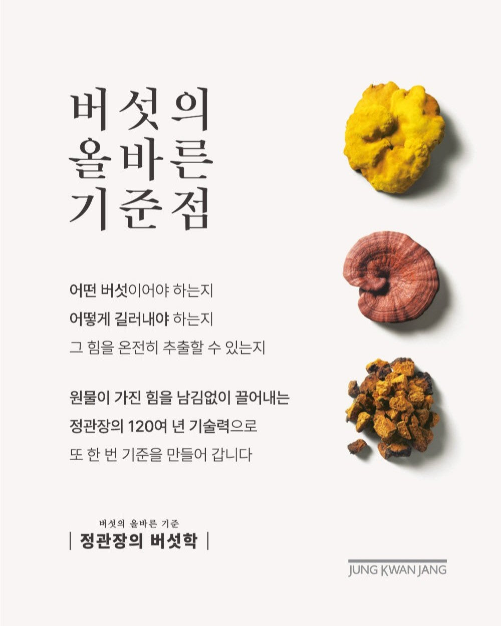 Nấm KGC Jung Kwan Jang Sanghuang Mushroom Tonic #30 Pouches-Kallos