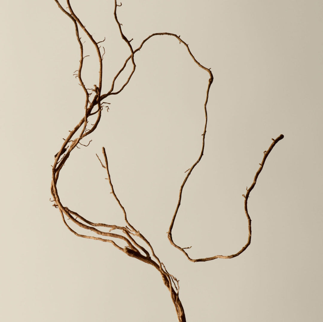 Nước Rửa Tay AESOP Reverence Aromatique Hand Wash