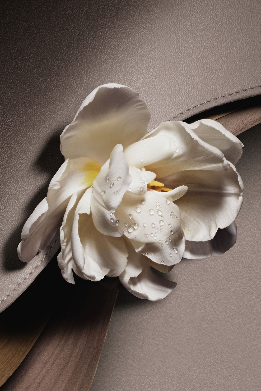 Nước Hoa DIOR Cuir Saddle Eau de Parfum