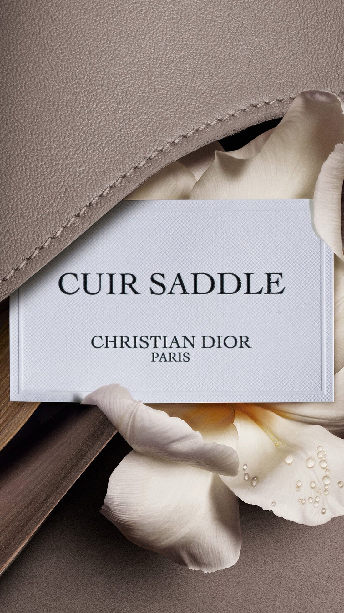 Nước Hoa DIOR Cuir Saddle Eau de Parfum