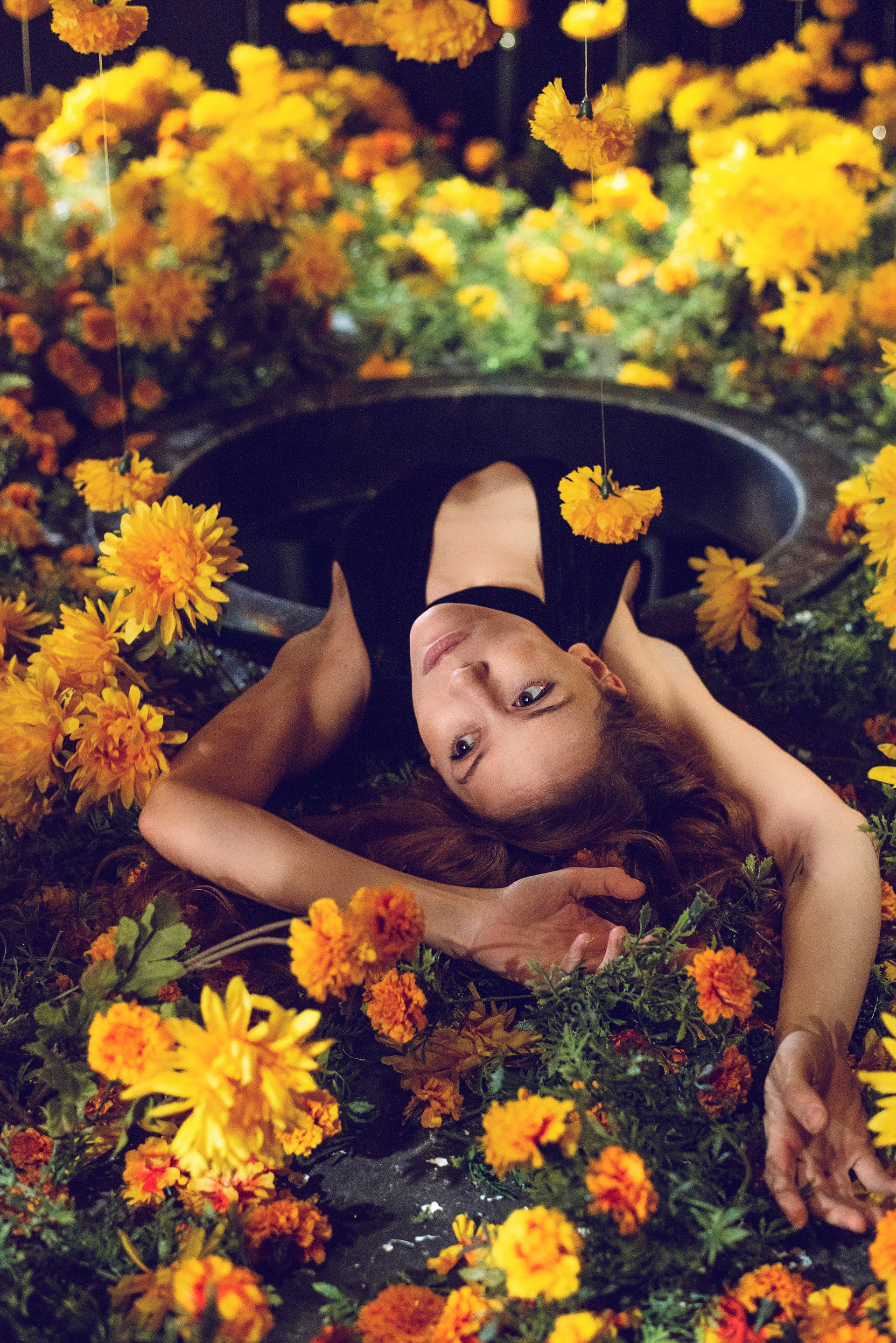 into-the-rabbit-hole-and-back-into-a-garden-of-marigolds-Kallos