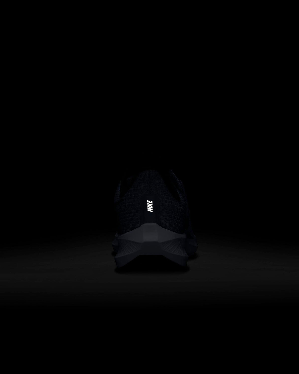 Giày Nike Pegasus FlyEase Men Shoes #Ashen Slate - Kallos Vietnam