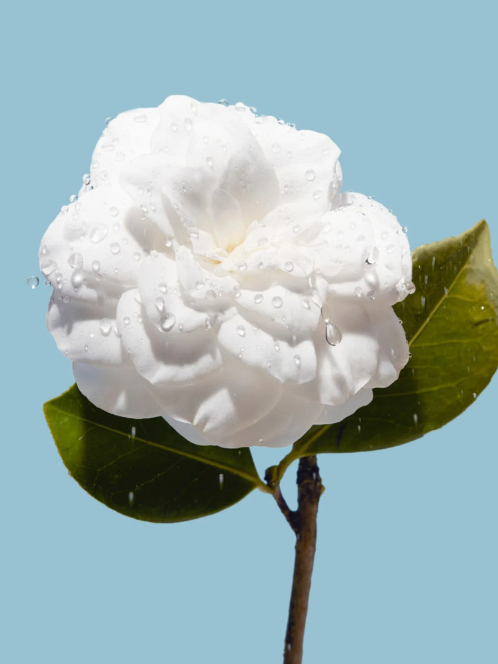 Kem Dưỡng CHANEL Hydra Beauty Micro Gel Cream
