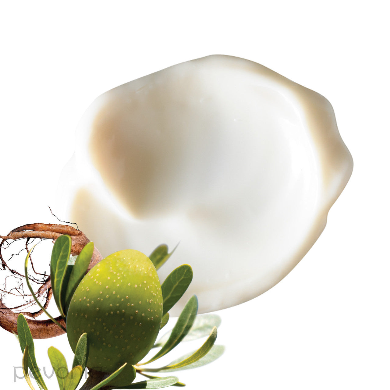 Kem Dưỡng Da Pevonia Stem Cells Phyto-Elite Intensive Cream #50 mL-Kallos