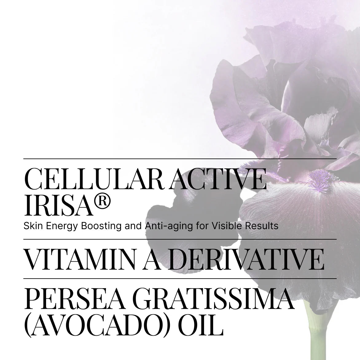 Kem Dưỡng Da Swiss Perfection Hydra Recovery Cream