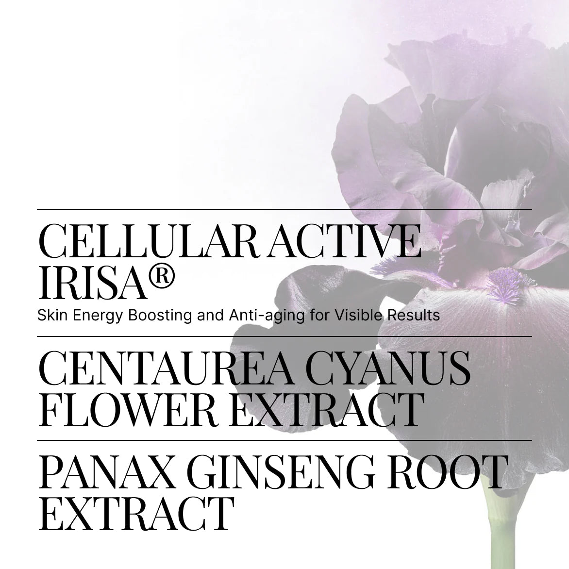 Kem Dưỡng Da Swiss Perfection Regenerating Skin Cream-Kallos