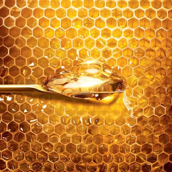 Kem Dưỡng GUERLAIN Abeille Royale Honey Treatment Day Cream