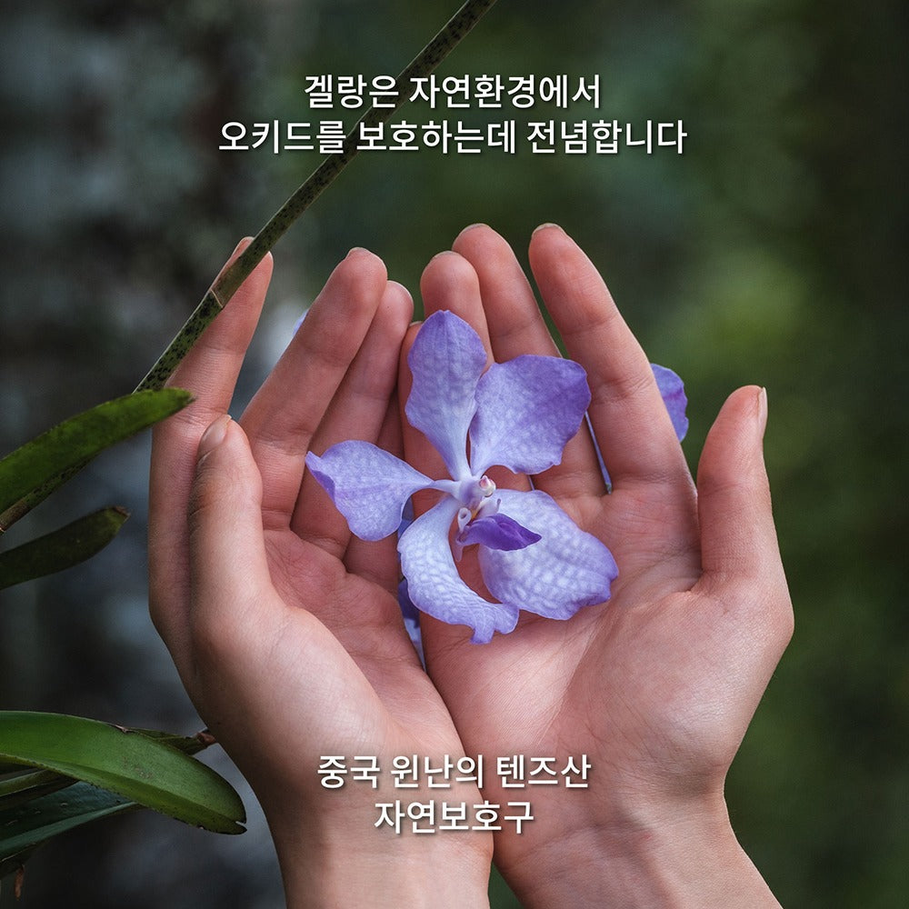 Kem Dưỡng GUERLAIN Orchidée Impériale The Longevity Cream