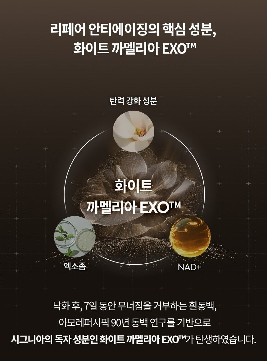 Kem Dưỡng HERA Signia Vital Lifting Cream