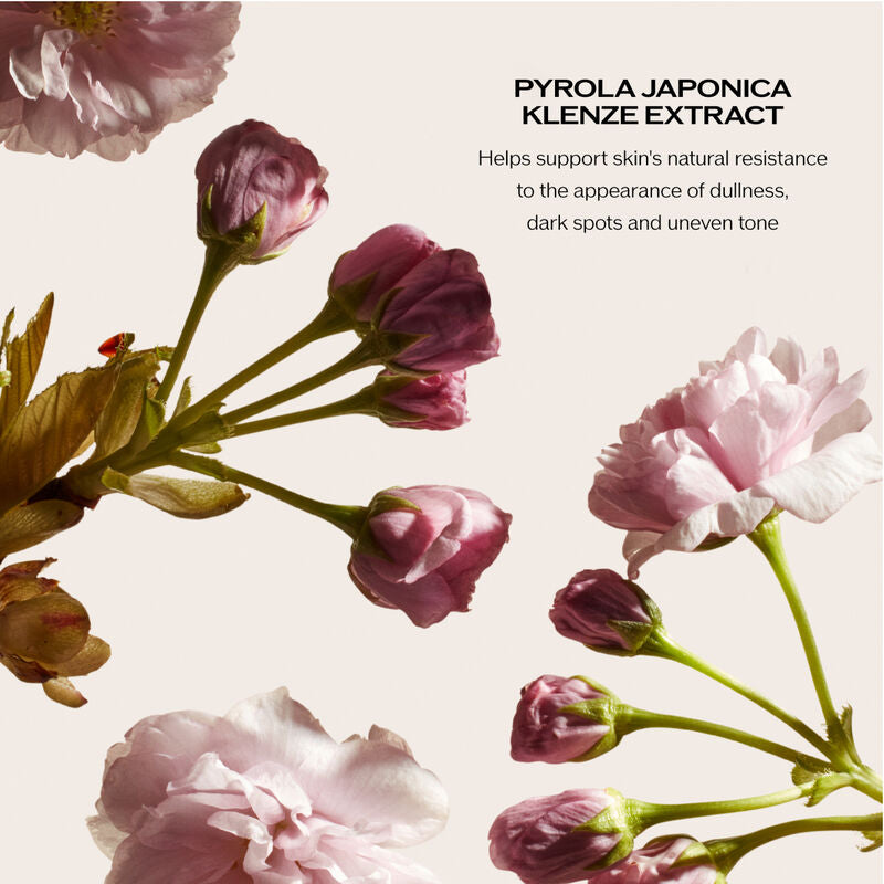 Kem Dưỡng SHISEIDO White Lucent Overnight Cream & Mask - Kallos Vietnam