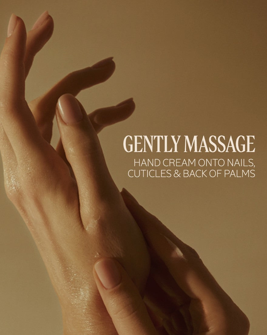 Kem Dưỡng Tay L'OCCITANE Premiers Rayons Perfumed Hand Cream Holiday