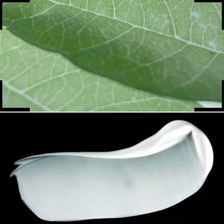 Kem Lót YSL Top Secrets Instant Tone-Up Primer 