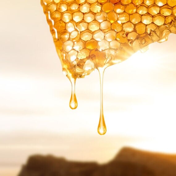 Mặt Nạ GUERLAIN Abeille Royale Honey Cataplasm Mask-Kallos
