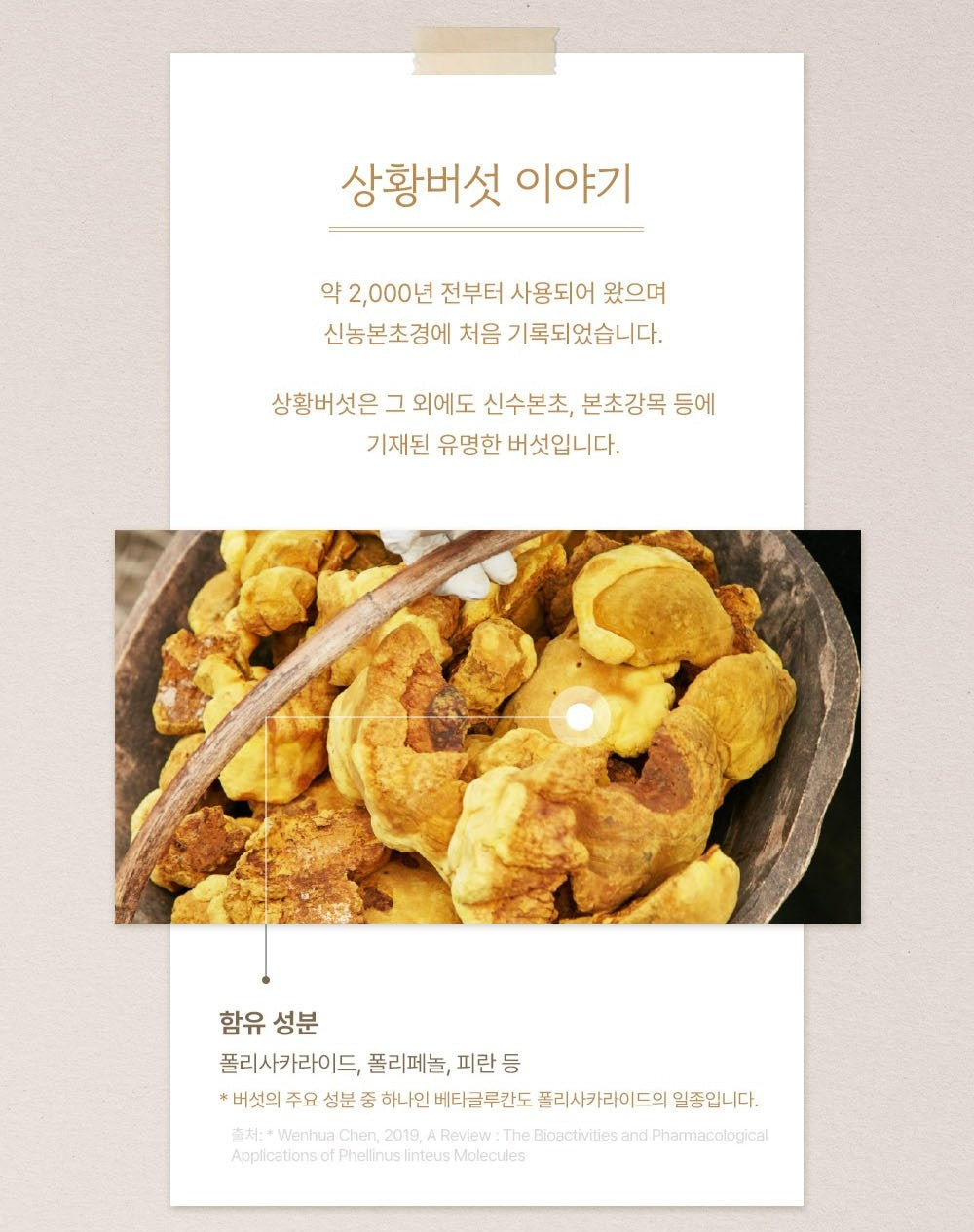 Nấm KGC Jung Kwan Jang Reishi Chaga Mushroom Decoction #30 Pouches-Kallos