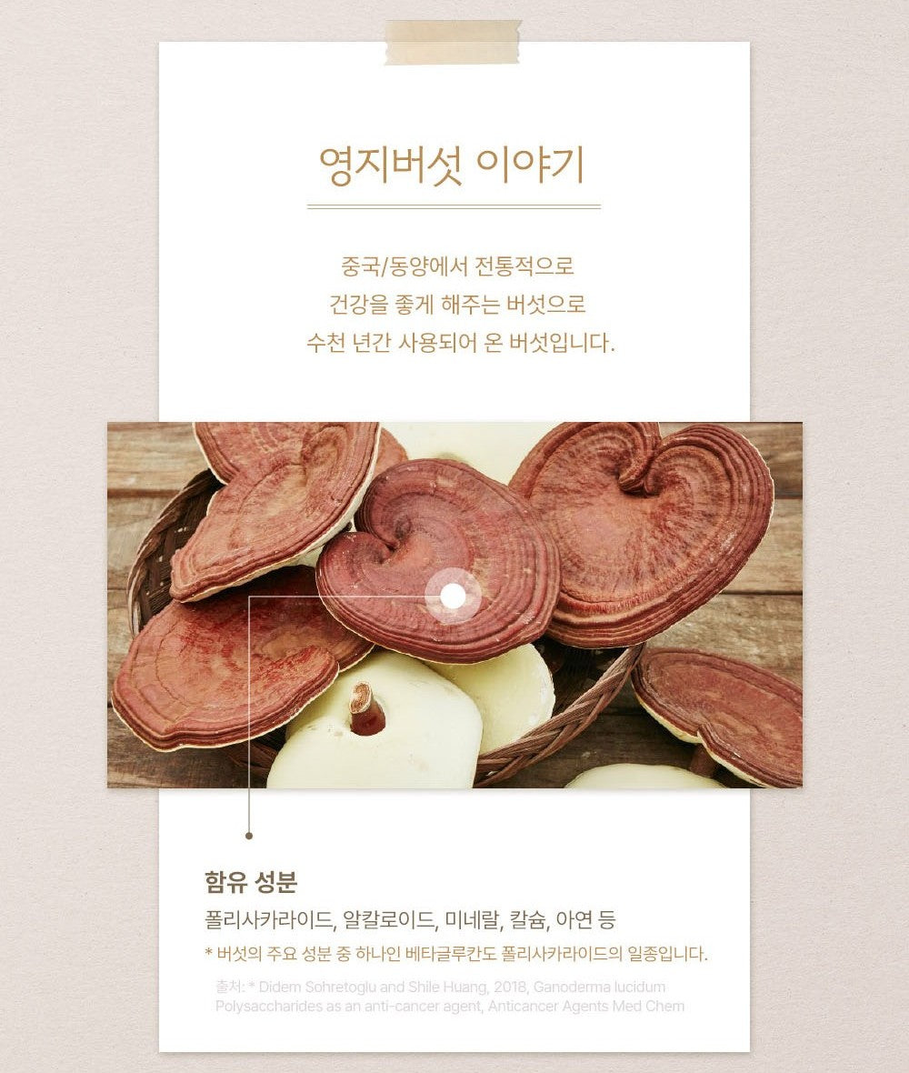 Nấm KGC Jung Kwan Jang Reishi Chaga Mushroom Decoction #30 Pouches-Kallos