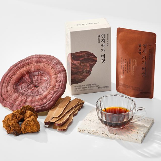 Nấm KGC Jung Kwan Jang Reishi Chaga Mushroom Decoction #30 Pouches-Kallos