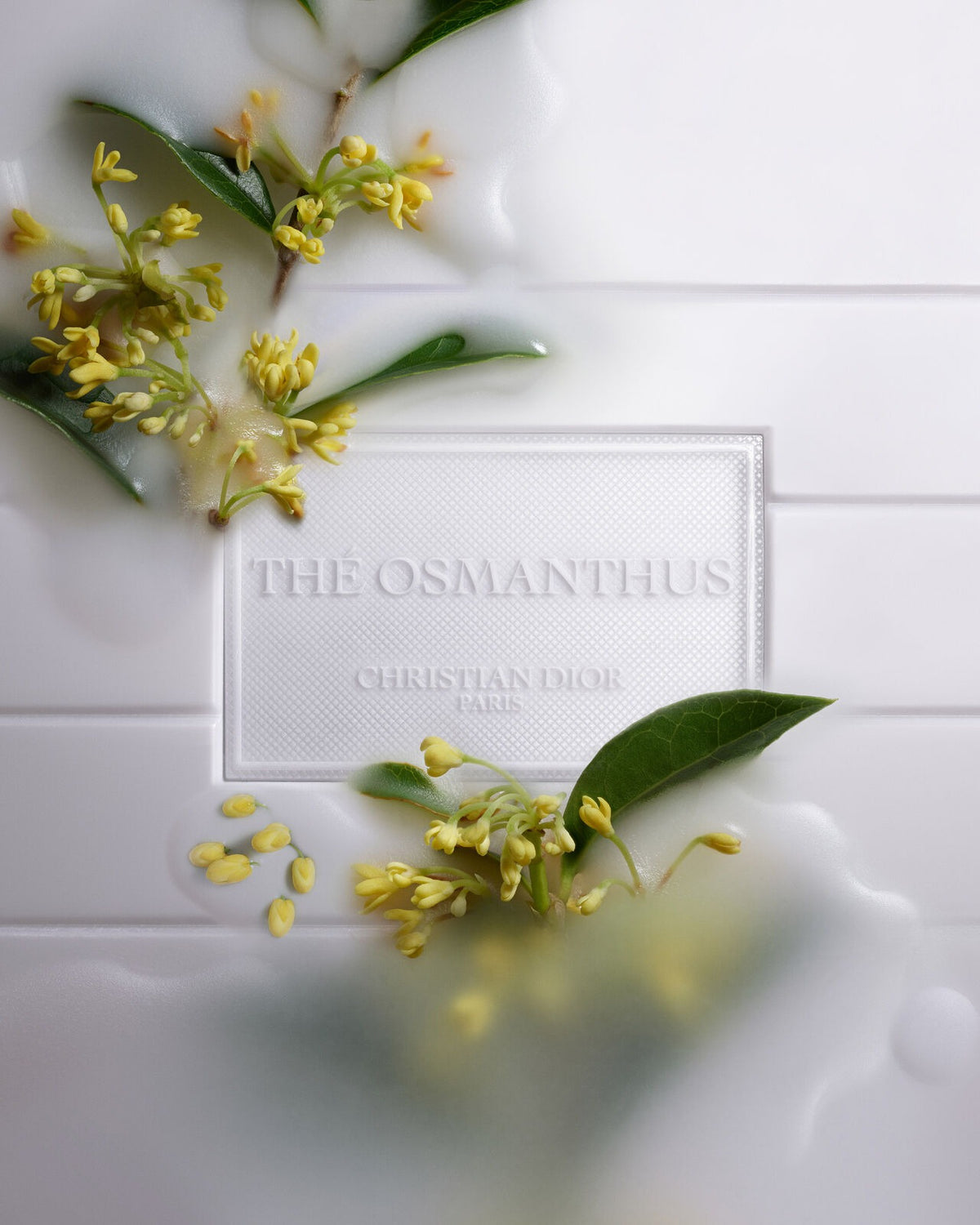 Nến Thơm DIOR Scented Candle Discovery Set