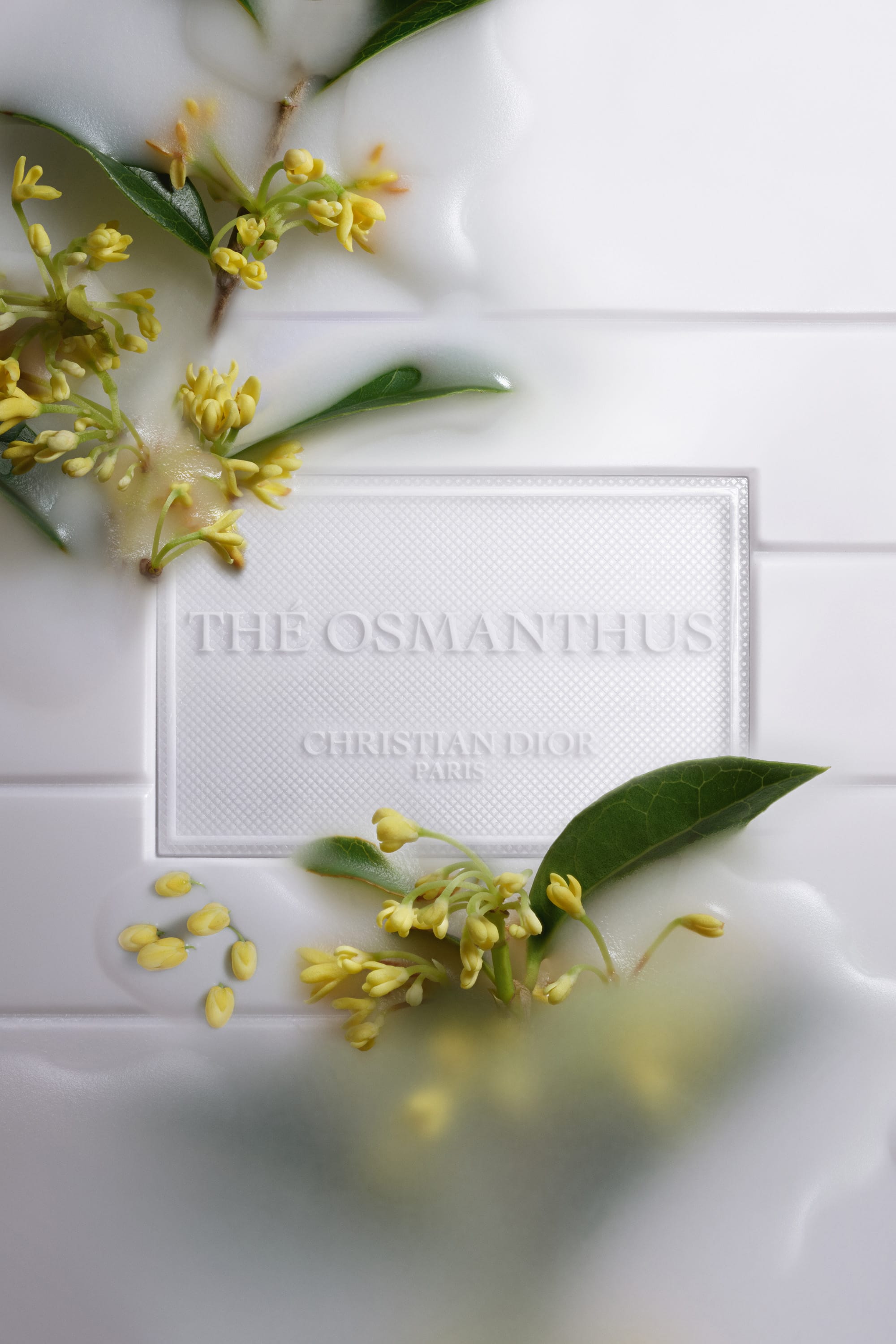 Nến Thơm DIOR Thé Osmanthus Candle-Kallos
