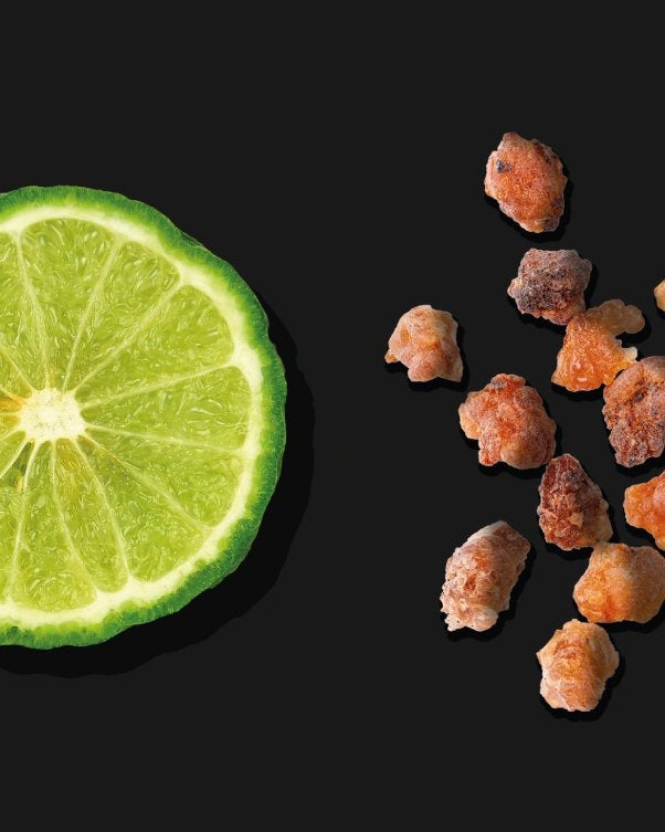 Nước Dưỡng Thể ALQVIMIA Queen Of Hungary Water