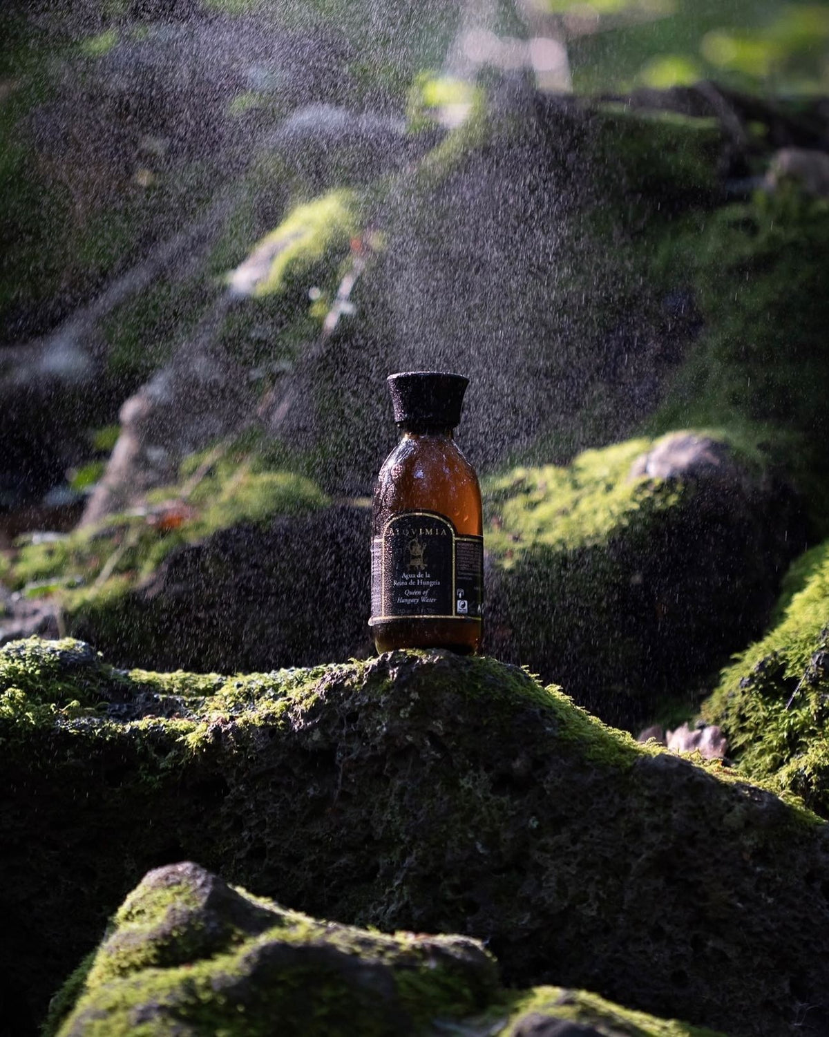 Nước Dưỡng Thể ALQVIMIA Queen Of Hungary Water