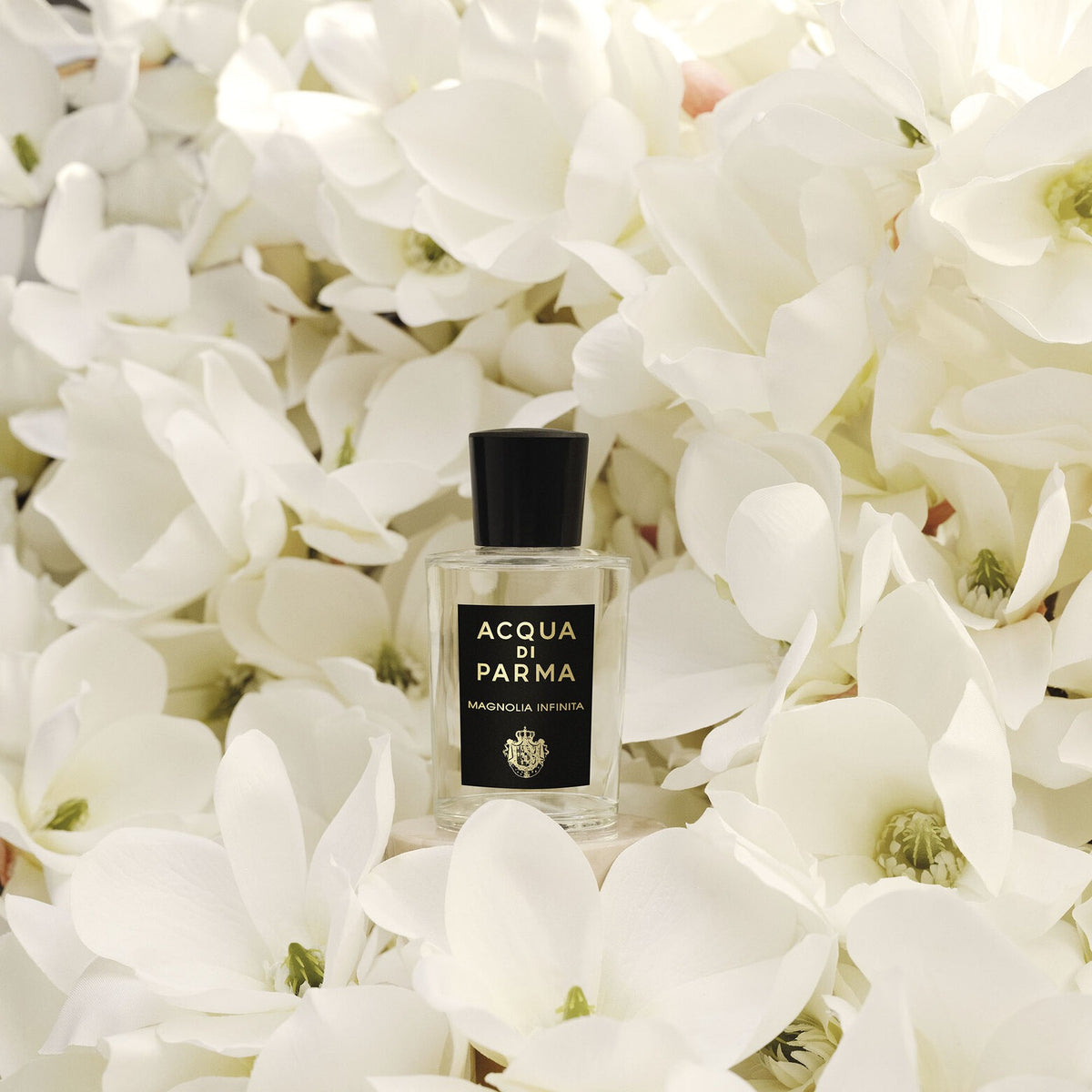Nước Hoa Acqua di Parma Magnolia Infinita Eau de Parfum #20 mL