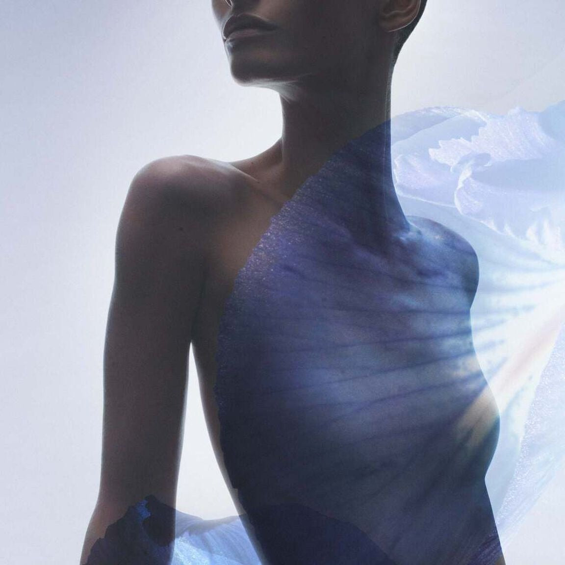 Nước Hoa ARMANI Iris Bleu Eau De Toilette