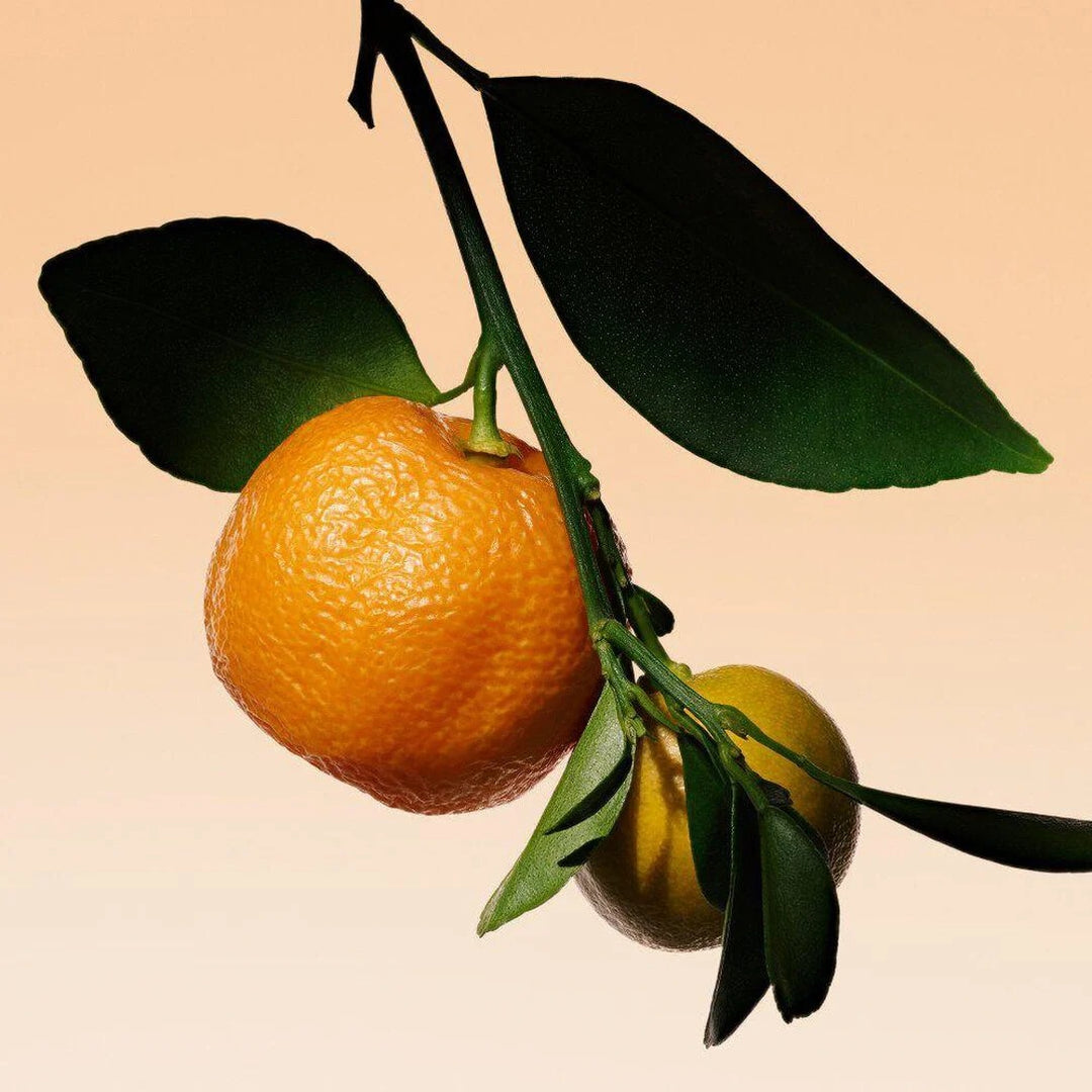 Nước Hoa ARMANI Privé Orange Méditerranée Eau De Toilette