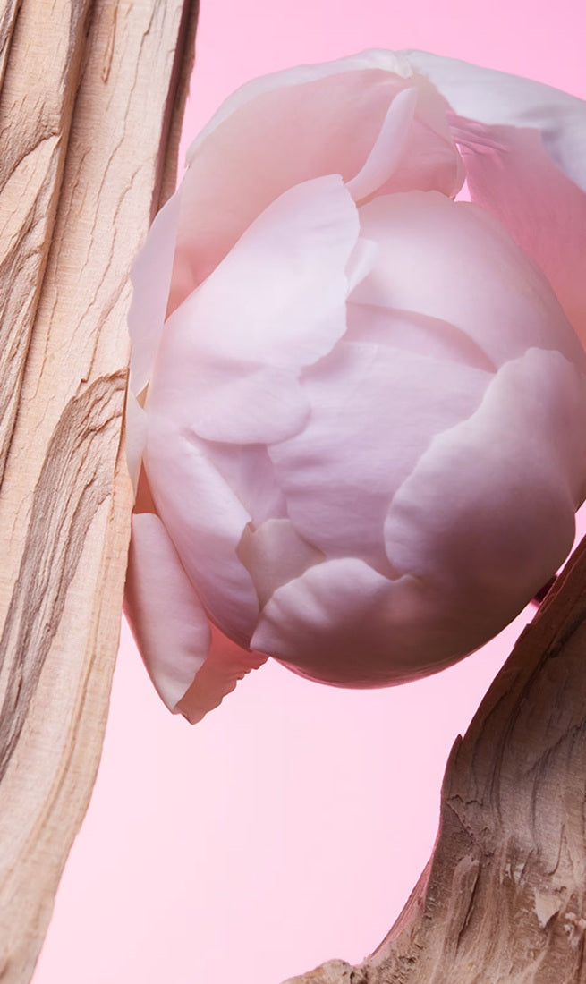 Nước Hoa BVLGARI Allegra Insieme Eau de Parfum