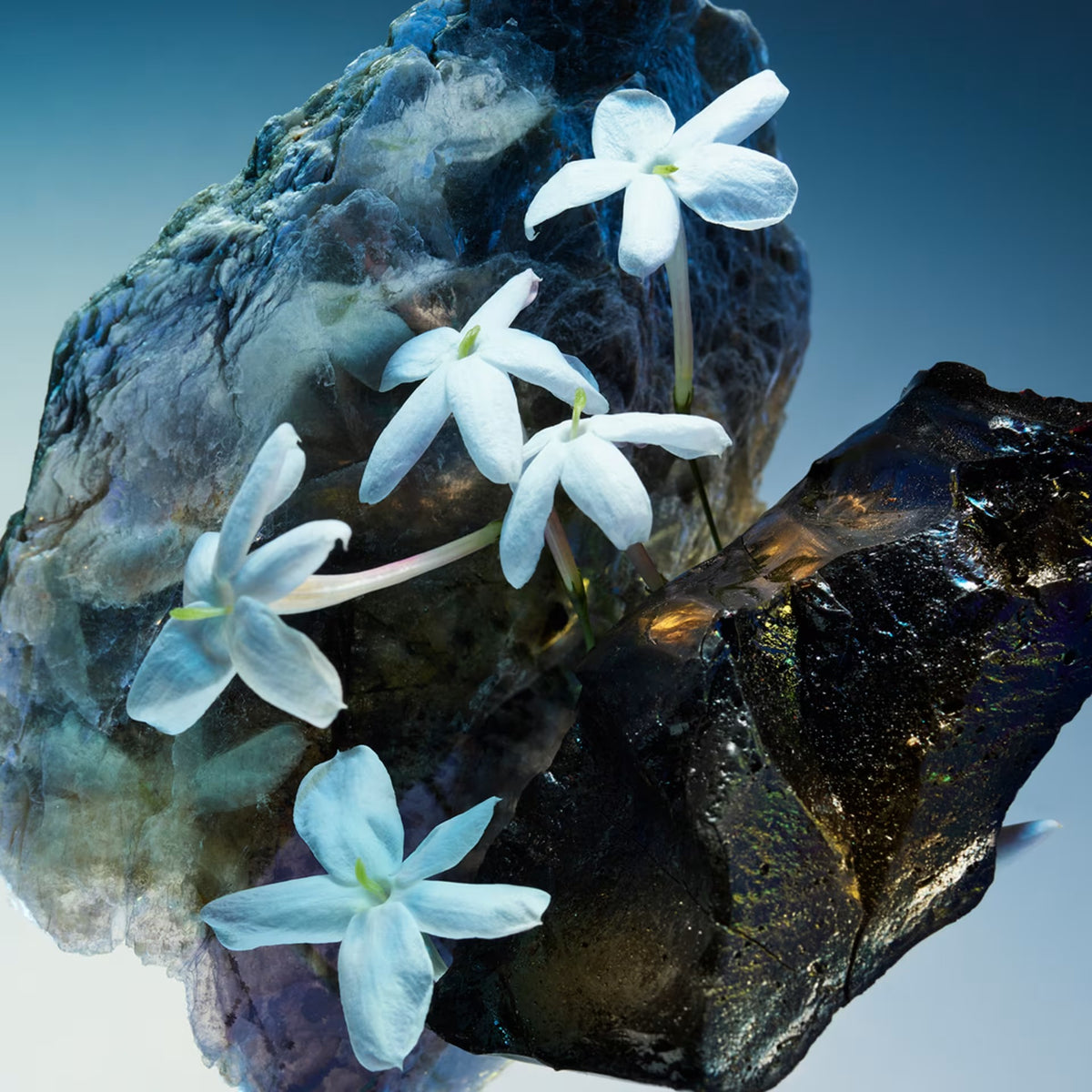 Nước Hoa BVLGARI Le Gemme Amunae Eau de Parfum