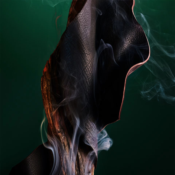 Nước Hoa BVLGARI Le Gemme Falkar Eau de Parfum