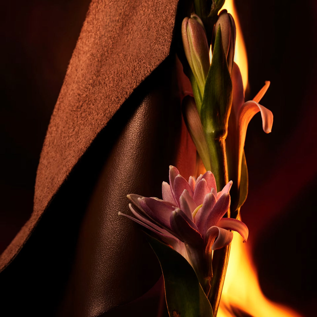 Nước Hoa BVLGARI Man In Black Eau de Parfum