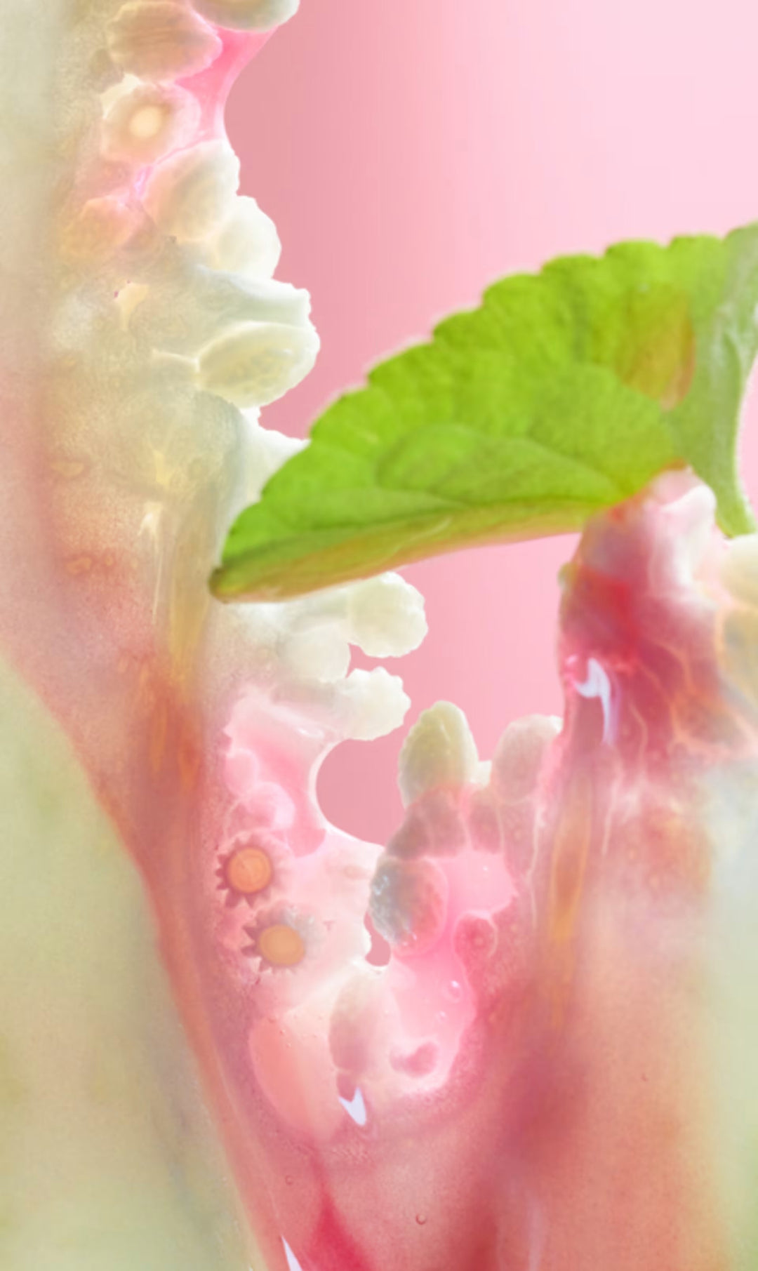 Nước Hoa BVLGARI Rose Goldea Blossom Delight Eau de Parfum #50 mL