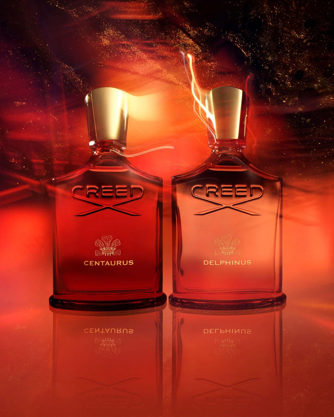 Nước Hoa CREED Delphinus #100 mL