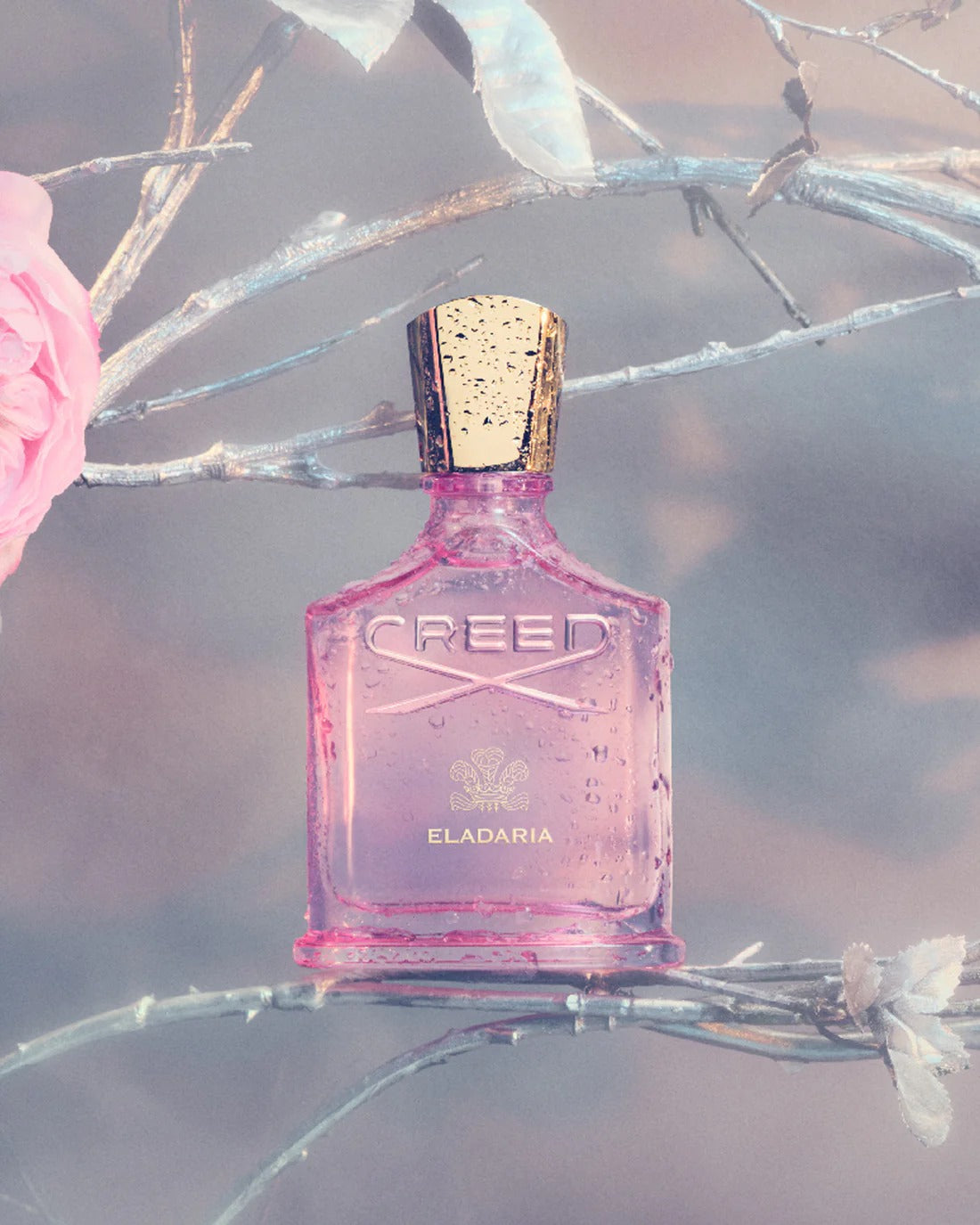Nước Hoa CREED Eladaria #75 mL – Kallos