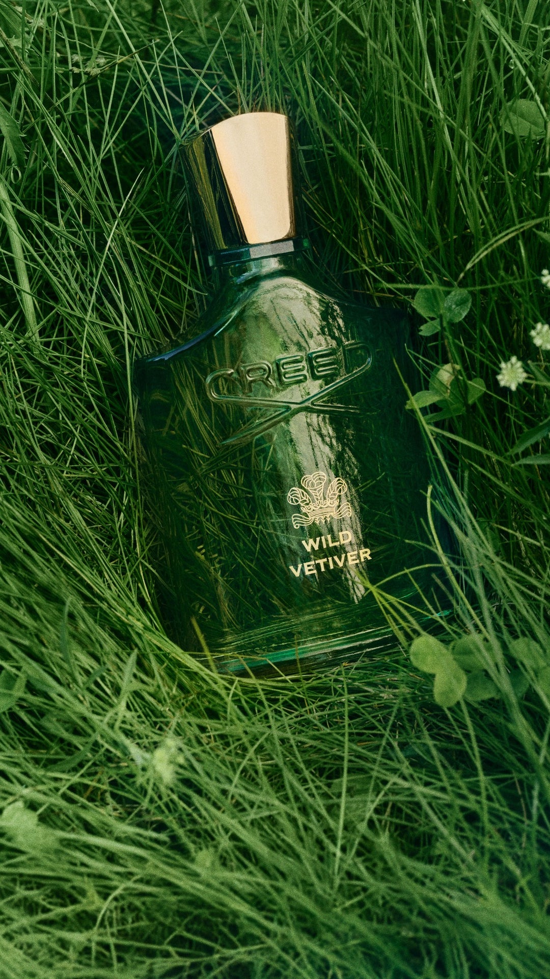 Nước Hoa CREED Wild Vetiver