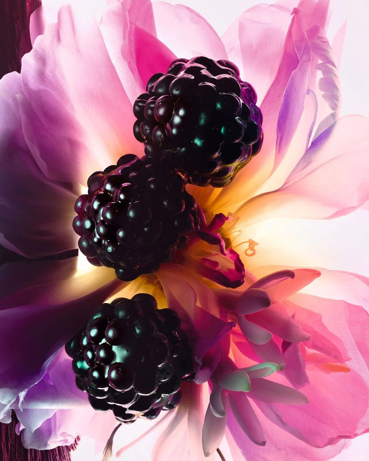Nước Hoa DIOR Miss Dior Essence De Parfum