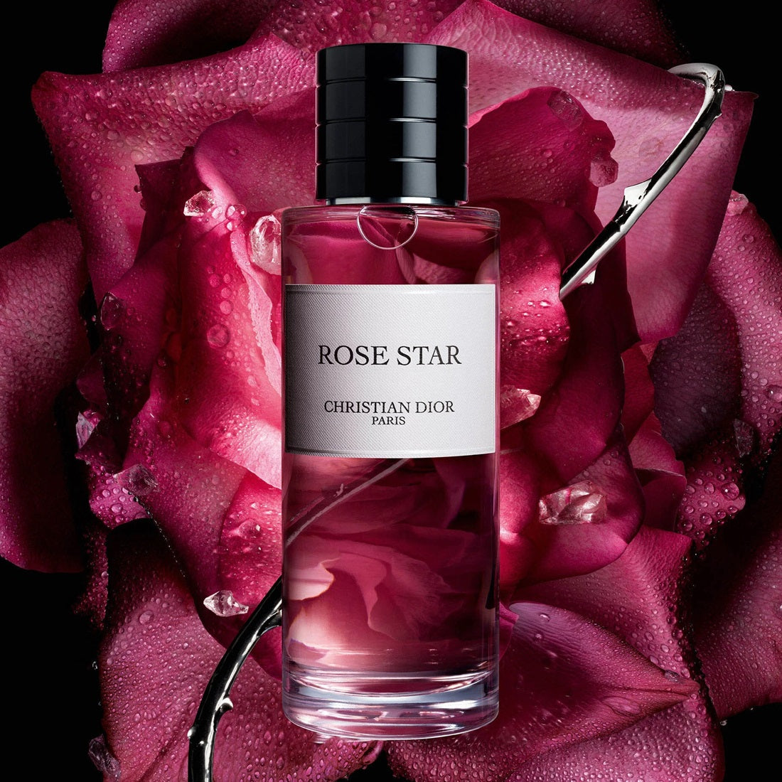 Nước Hoa DIOR Rose Star Eau de Parfum