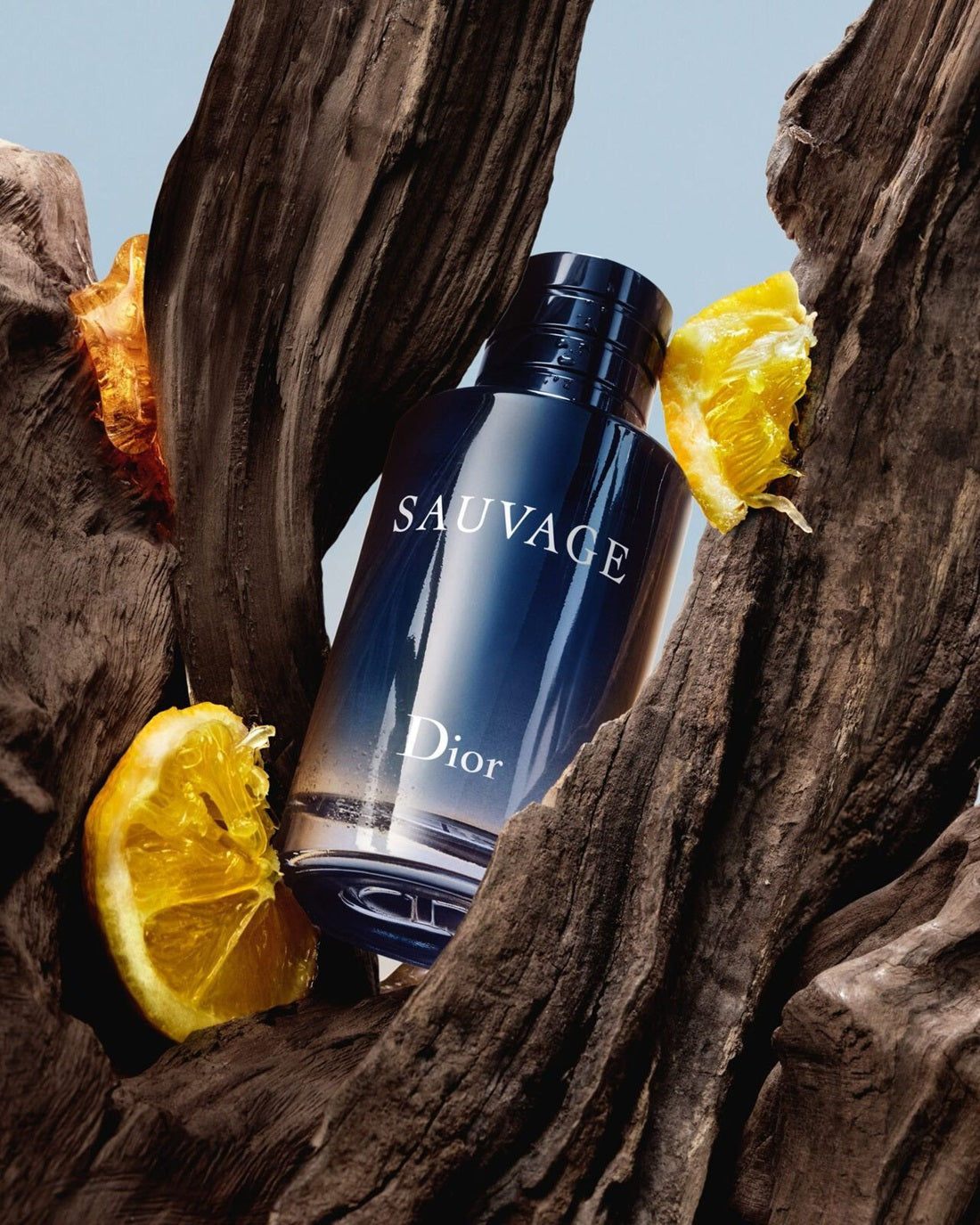 Nước Hoa DIOR Sauvage Spray For The Wild - Limited Edition-Kallos