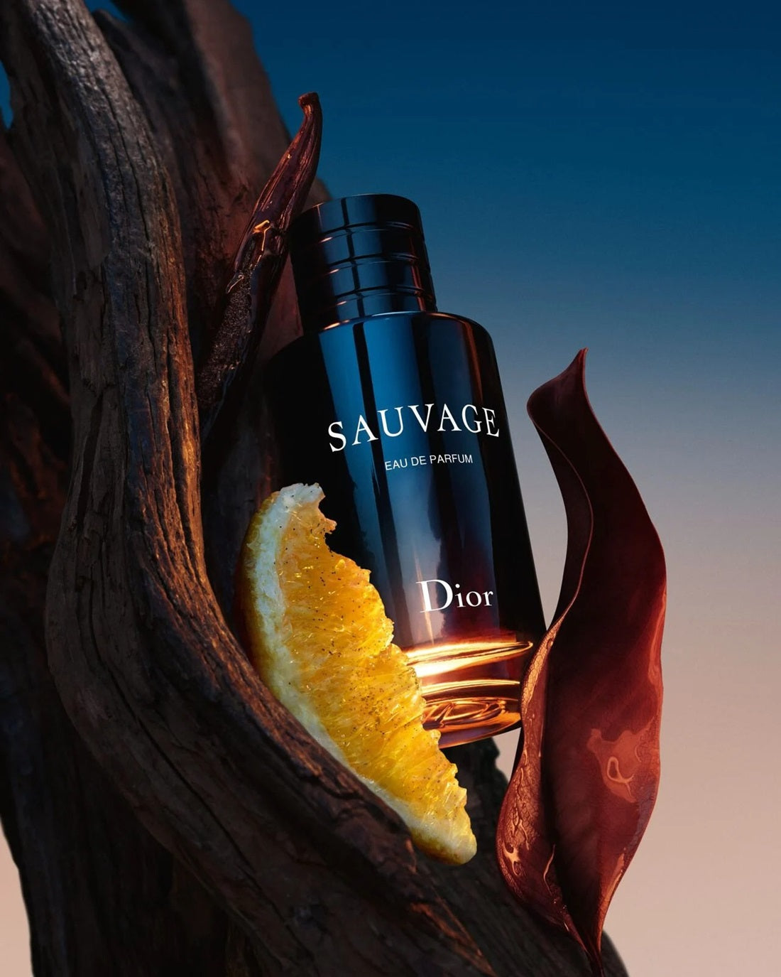 Nước Hoa DIOR Sauvage Spray For The Wild - Limited Edition-Kallos